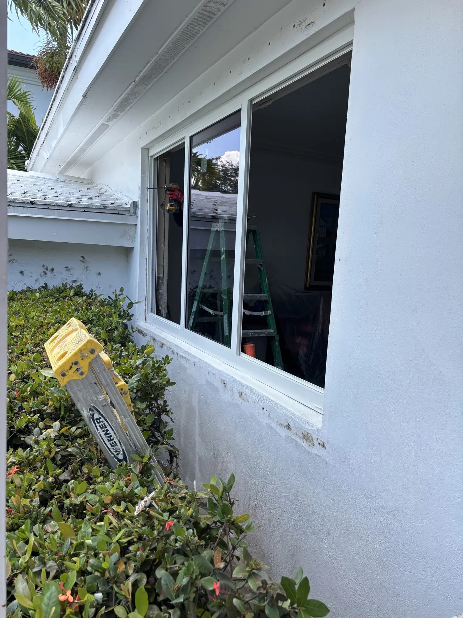 Three-pane window being installed in a white exterior wall with a ladder and shrubs below